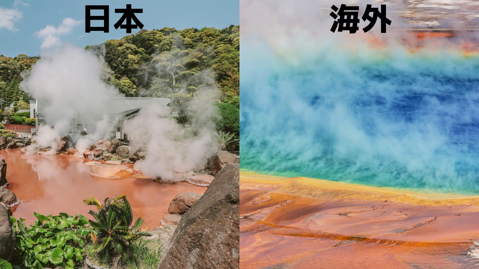 日本だからこそできた研究