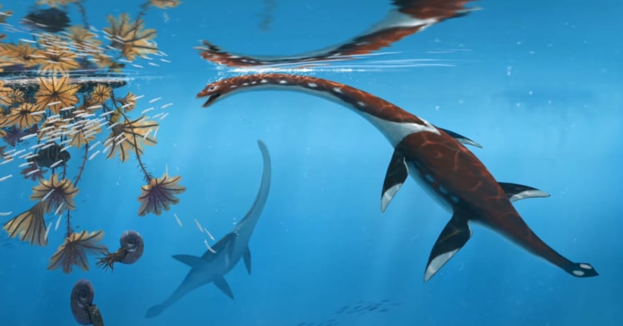 新種の首長竜」をドイツのジュラ紀地層から発見 - ナゾロジー