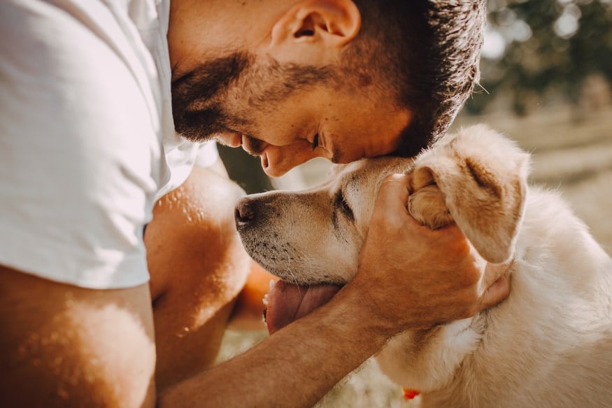 67人の命を土砂崩れから救ったのは「1匹の犬」と「飼い主の対応」だった