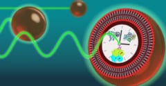 生物時計を模倣し、24時間周期を再現できる人工細胞を開発の画像 3/3