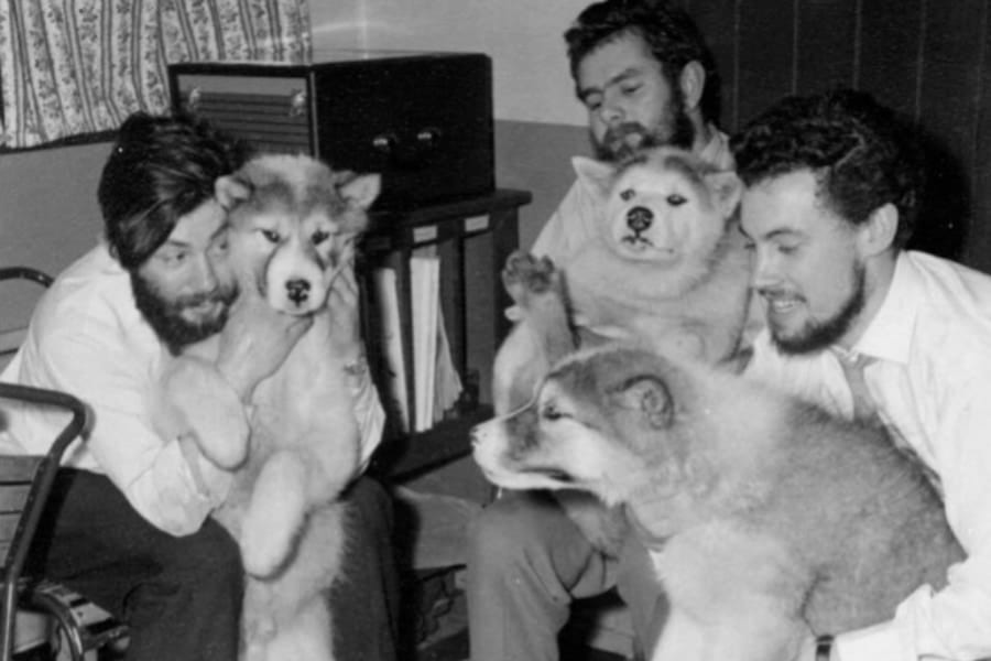 1959年に南極で行方不明になった科学者、66年越しに遺体を発見