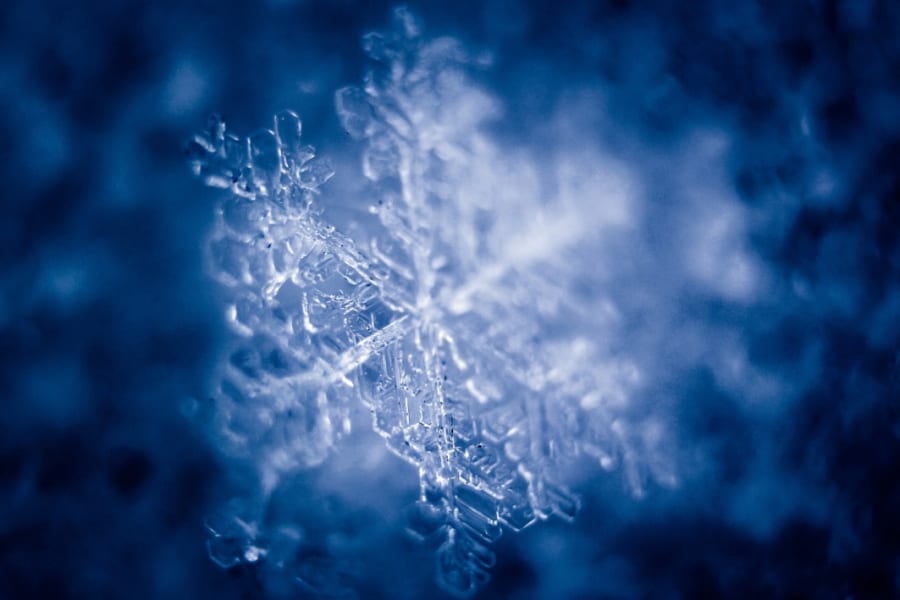 氷の中で10万年も生命活動を続ける微生物がいた