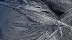 氷の中に「生きている微生物」は本当にいるのか