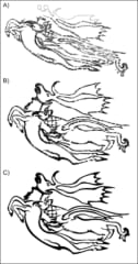 2300年前の女性ミイラに彫られた「タトゥー」図柄の解明に成功の画像 4/5
