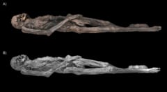 2300年前の女性ミイラに彫られた「タトゥー」図柄の解明に成功の画像 3/5