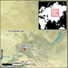 2300年前の女性ミイラに彫られた「タトゥー」図柄の解明に成功の画像 2/5