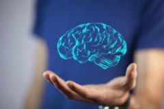 人工甘味料の摂取は「認知機能の低下」を加速させていたの画像 3/3