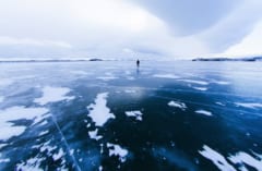 地球最古の湖「バイカル湖」に棲む「わが子を喰らう魚」の画像 2/3