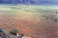 謎の円形地形”フェアリーサークル”の下には天然水素資源が埋蔵されているの画像 2/2