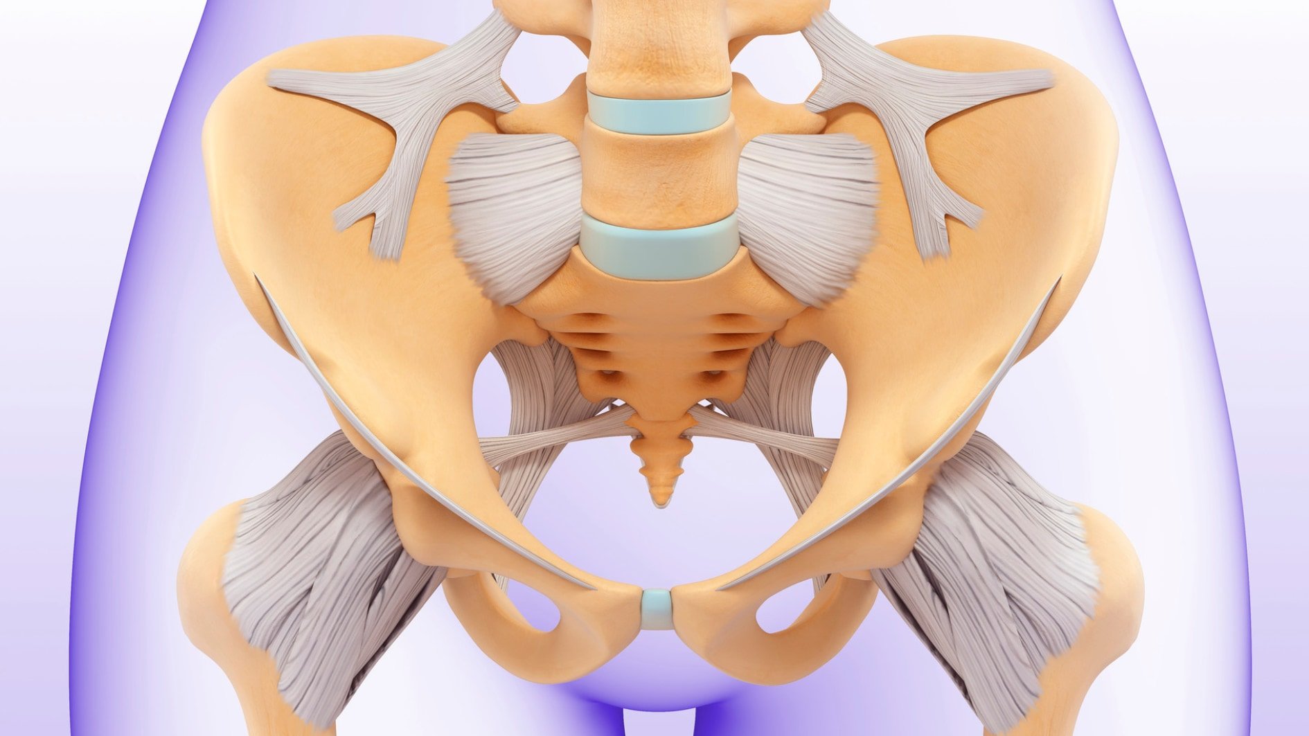 なぜヒトだけが立ち上がったのか?──骨盤が語る進化の謎