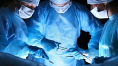 まだ体の細胞が生きているうちに解剖し分析する