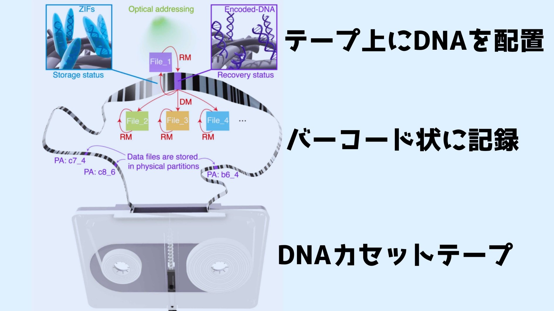 DNAカセットテープは人類の全音楽を最大2万年も保存できるの画像 3/4