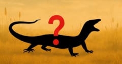 ヘビとトカゲの融合体？ 1億6000万年前の謎の古生物を発見の画像 1/1