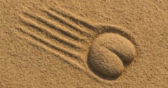 世界初「お尻を引きずった跡」の化石痕を発見、誰のおしり？の画像 1/2