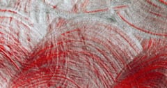 ハワイの山頂で「赤い雪」を発見、原因は？の画像 1/1
