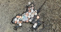 【米国で話題】道路にできた「ネズミ穴」、調べたら実はネズミじゃなかったの画像 1/2