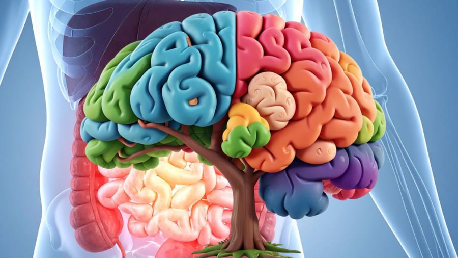 便秘を脳のエラーとしてみる時代へ