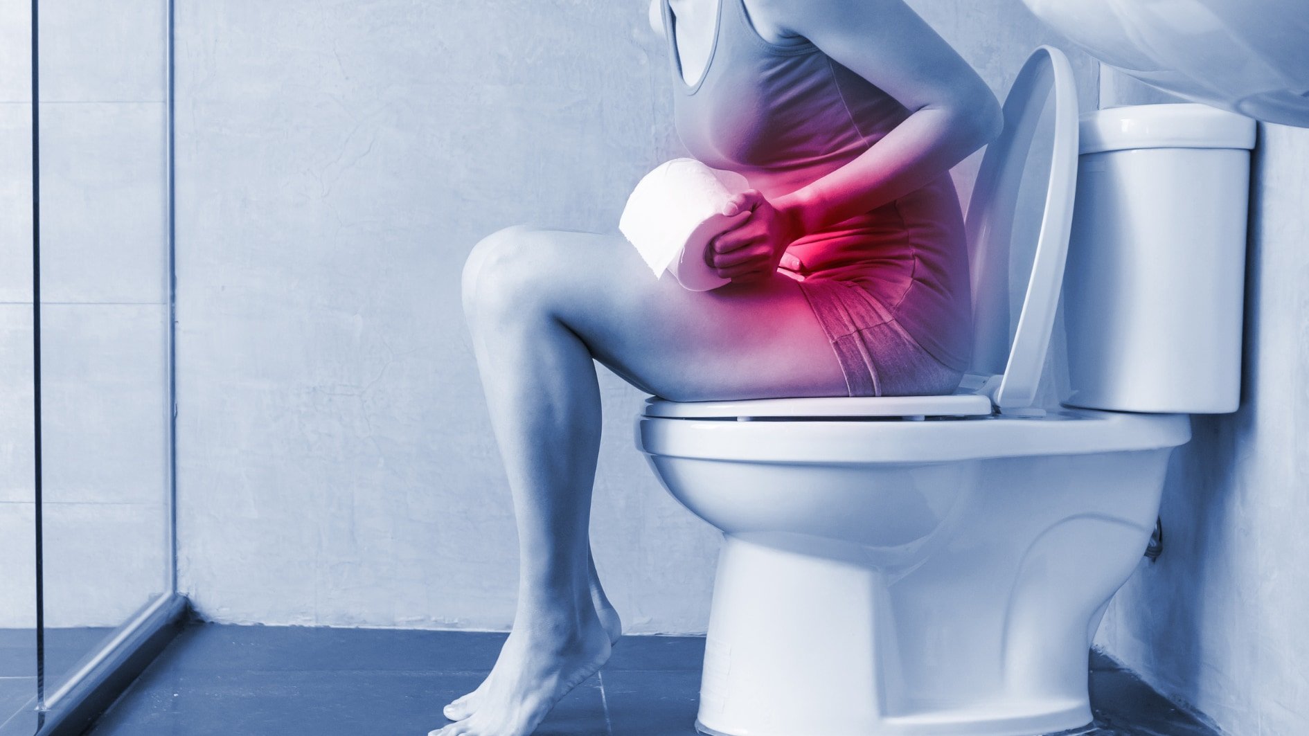 便秘の原因は脳にあった――九州大が脳の排便中枢の仕組みを世界で初めて解明!