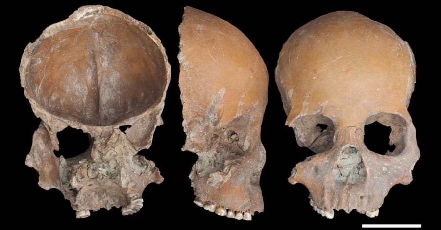 祖先の人骨を「コップ」に加工、5000年前の証拠を発見 - ナゾロジー