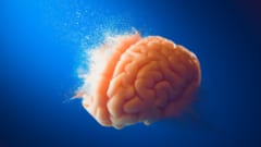 人類の『知性』は『精神の不安』と引き換えだったかもしれない