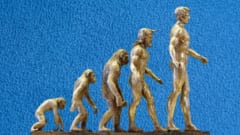 その非ヒト属は「ゴリラの握力」と「人間の器用さ」の両方を持っていたの画像 2/4