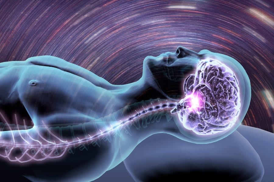 眠りは徐々に起こるのではない――脳が眠る瞬間を捉えることに成功