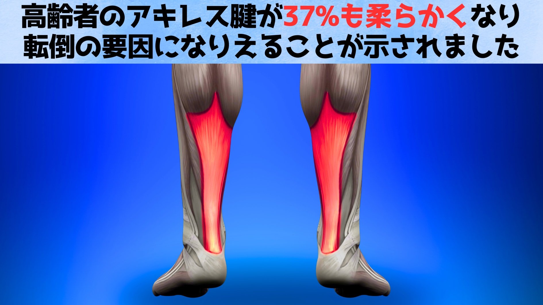 高齢者はアキレス腱が「やわから過ぎて」バランスが悪くなっていた