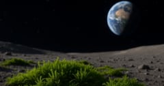 コケが「9カ月間の宇宙滞在」でも生存できると判明の画像 1/3
