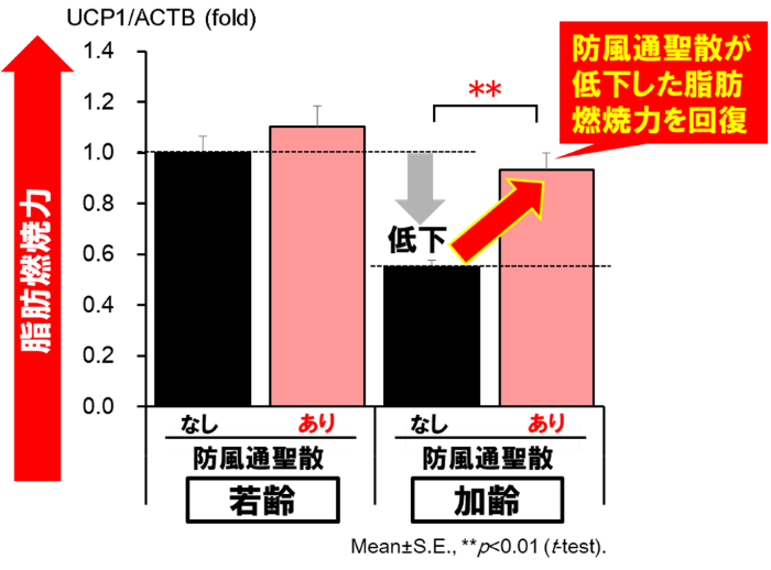 古くて新しい漢方薬の科学的再評価