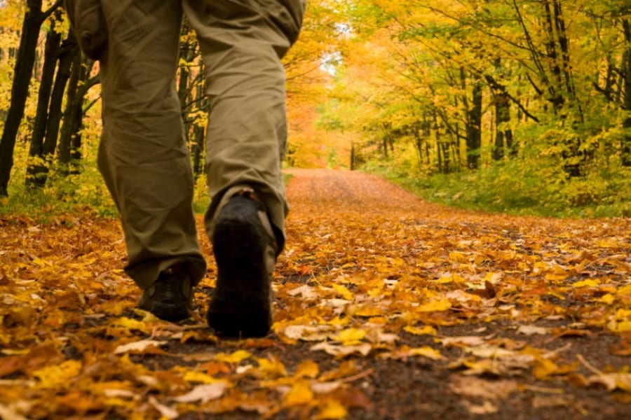 アルツハイマー病のリスクを低下させる「1日の歩数」が判明