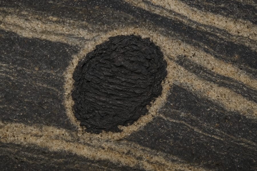 33億年前の岩石に史上最古の「生命の痕跡」を発見