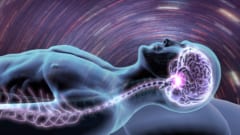 眠りは徐々に起こるのではない――脳が眠る瞬間を捉えることに成功