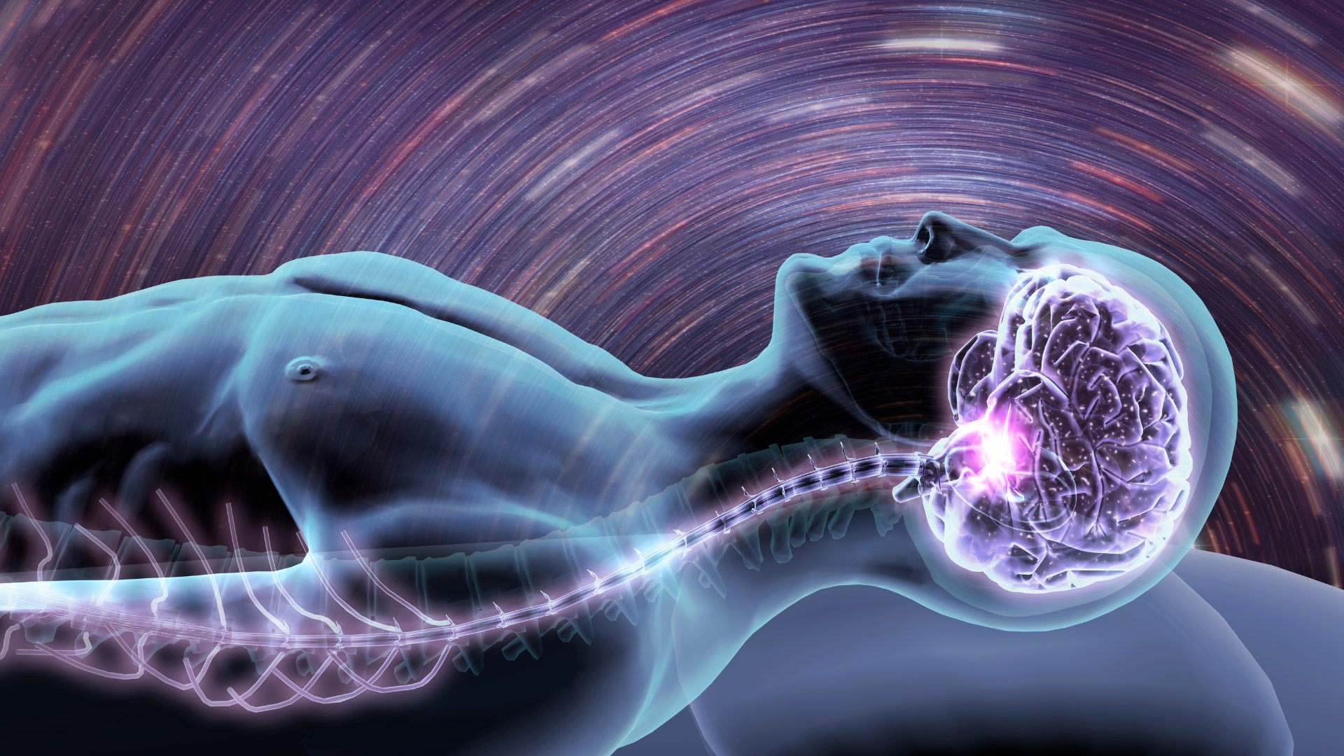 眠りは徐々に起こるのではない――脳が眠る瞬間を捉えることに成功