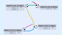 「9歳、32歳、66歳、83歳」──脳が静かに線路を切り替える年齢