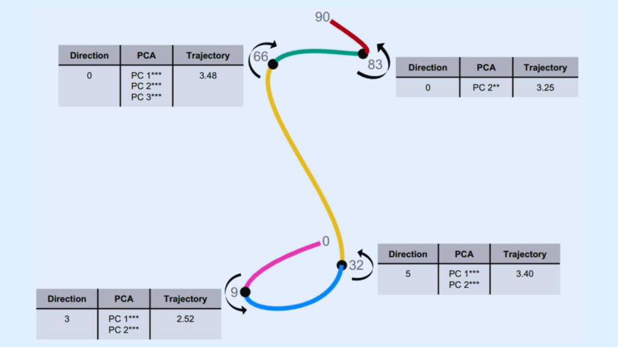「9歳、32歳、66歳、83歳」──脳が静かに線路を切り替える年齢