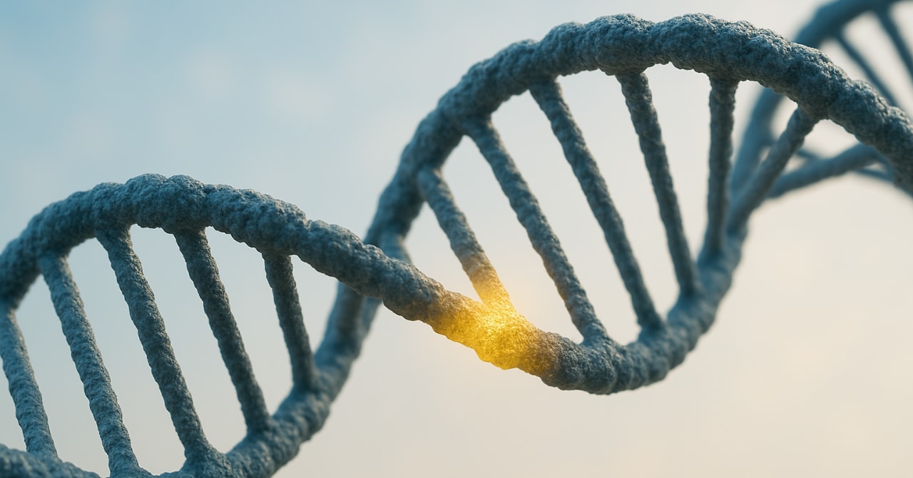 記録にない「未知の人類の遺伝子」を発見、アルゼンチンの画像 1/1