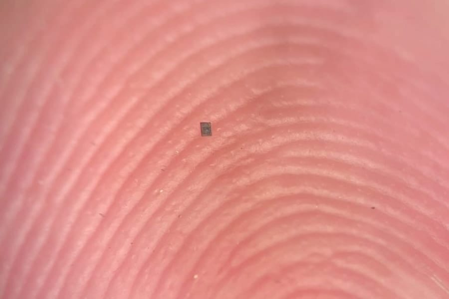 塩粒サイズの「自律型ロボット」の開発に成功