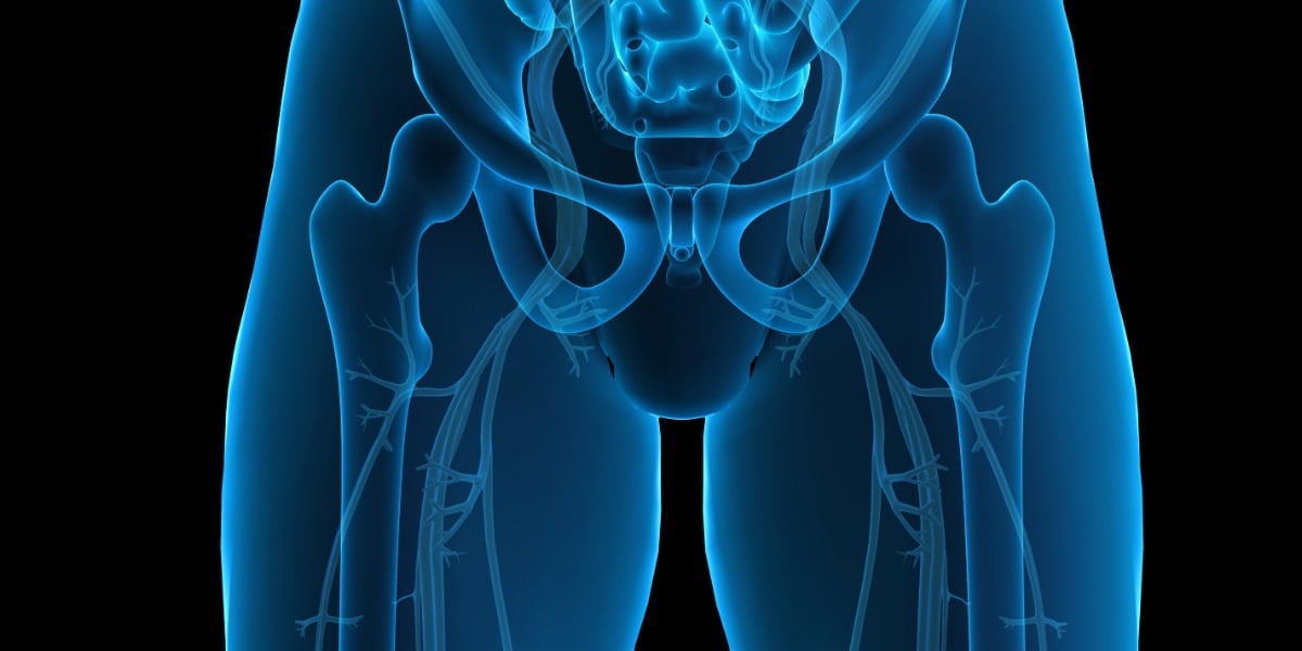 クリトリスは「快感」だけじゃなく「痛み止めスイッチ」かもしれない