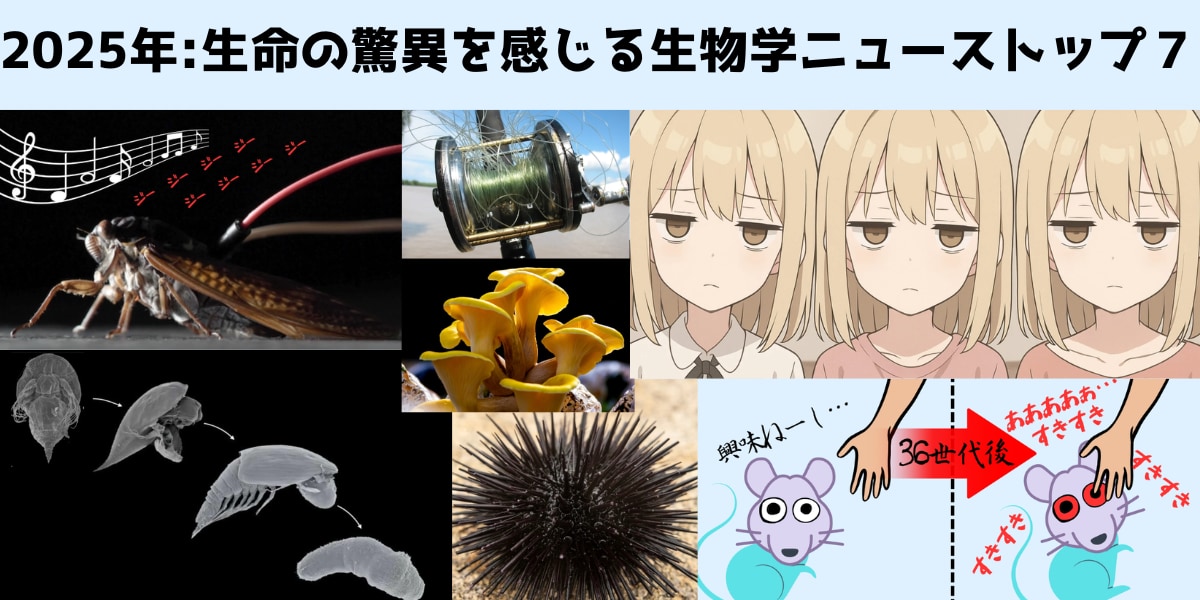 【2025年版】生命の驚異を感じる生物学ニューストップ７