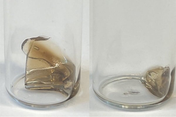 DNAをヒントに「寿命を設定できるプラスチック」を開発