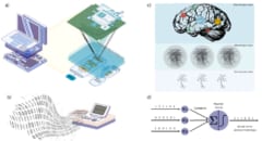 「意識はソフト、脳はハード」という考えには罠がある