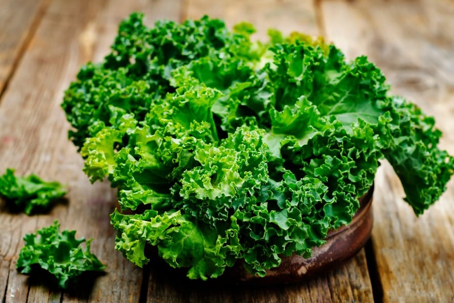 スーパーフード「ケール」の栄養を抜群に引き出す“あるもの”とは？