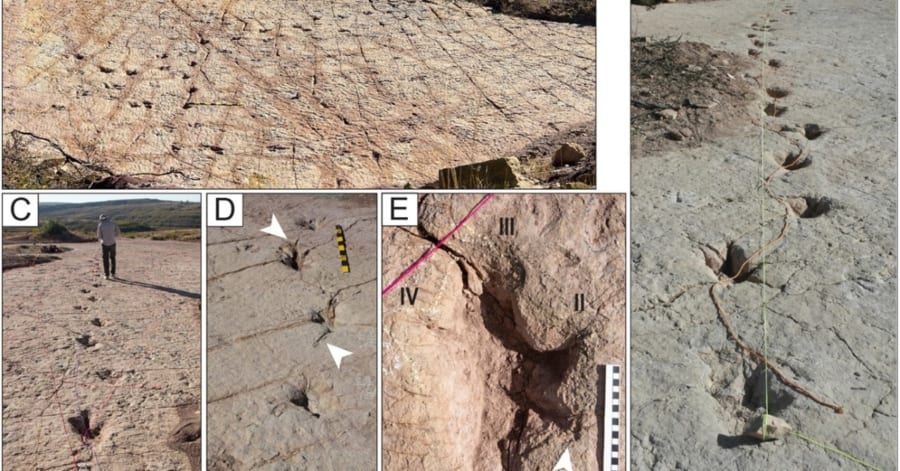 ボリビアで1万6000以上の「世界最大規模の恐竜足跡群」を発見 - ナゾロジー