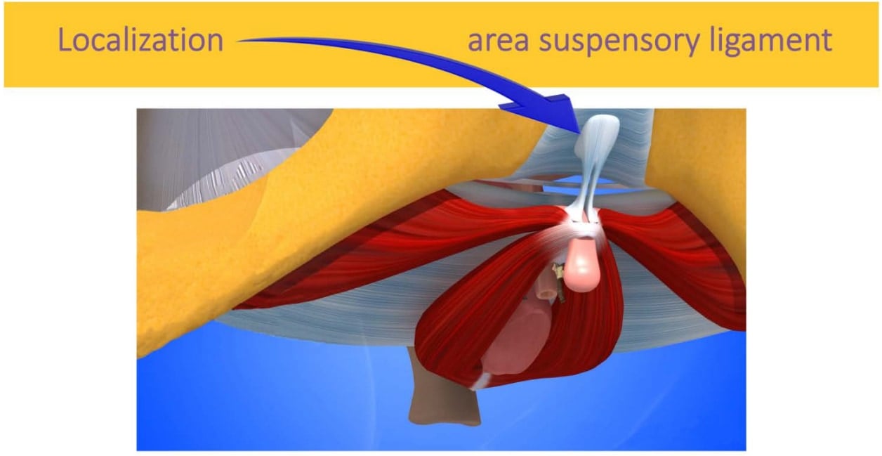 昔からあった「鎮痛の手がかり」を拾い直す