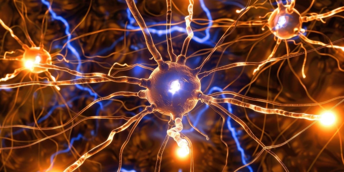 海馬の「脚本」と新皮質の「即興演出」が思い出の最新作を作り続ける