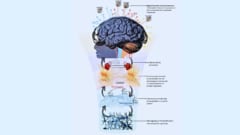 合成意識を目指すなら、どこから作り替えるべきか