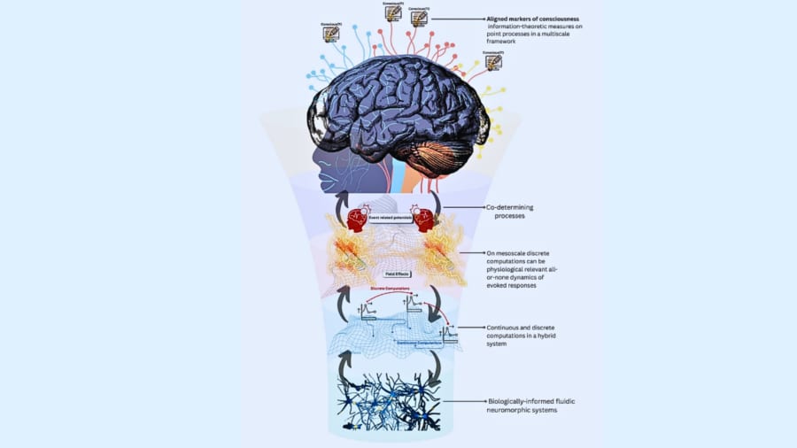 合成意識を目指すなら、どこから作り替えるべきか