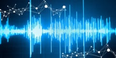 意識は「音の設計図」を本物の声だと思い込む