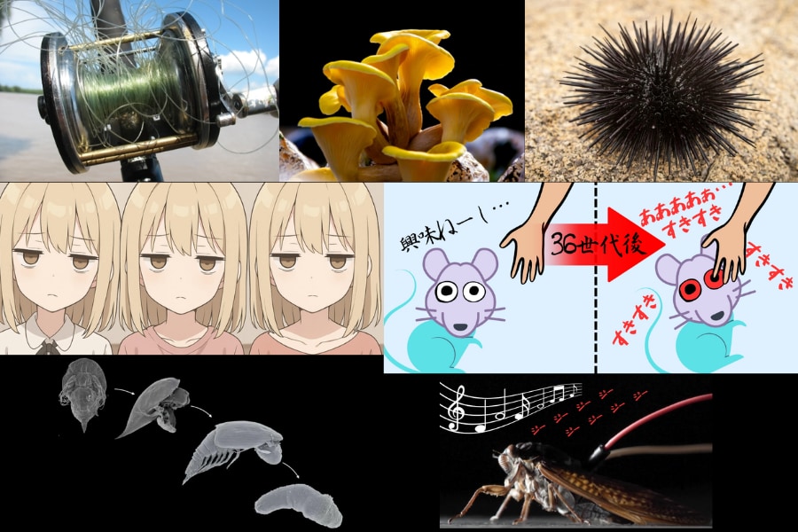 2025年版】生命の驚異を感じる生物学ニューストップ7 (3/7) - ナゾロジー