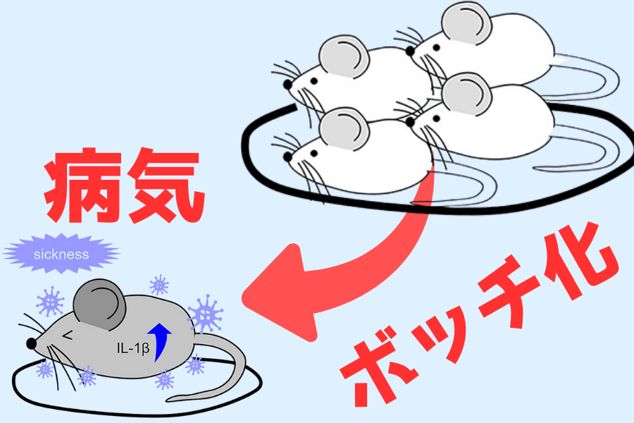 病気になるとボッチになる脳スイッチを発見